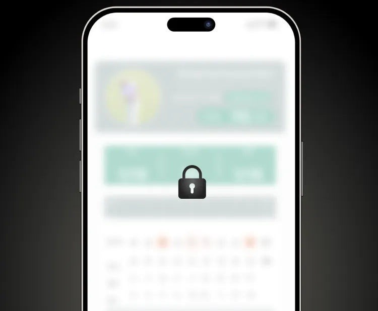 Data Safety