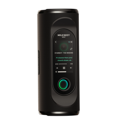Obsidian Black