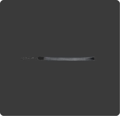 Lanyard